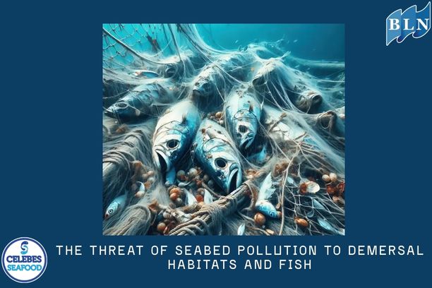 The Threat of Seabed Pollution to Demersal Habitats and Fish